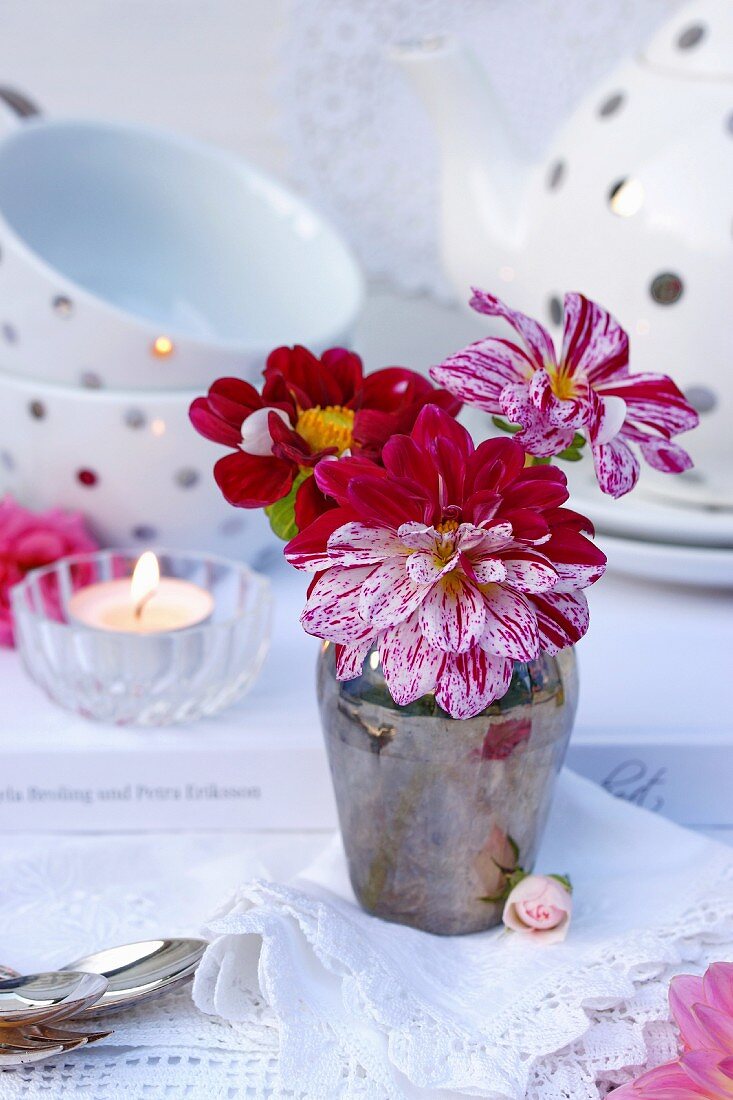 Vase mit zweifarbigen Dahlienblüten (Bicolor) auf Spitzendecken und Teegeschirr im Hintergrund