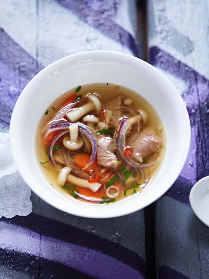Spicy duck soup with mushrooms (Asia)