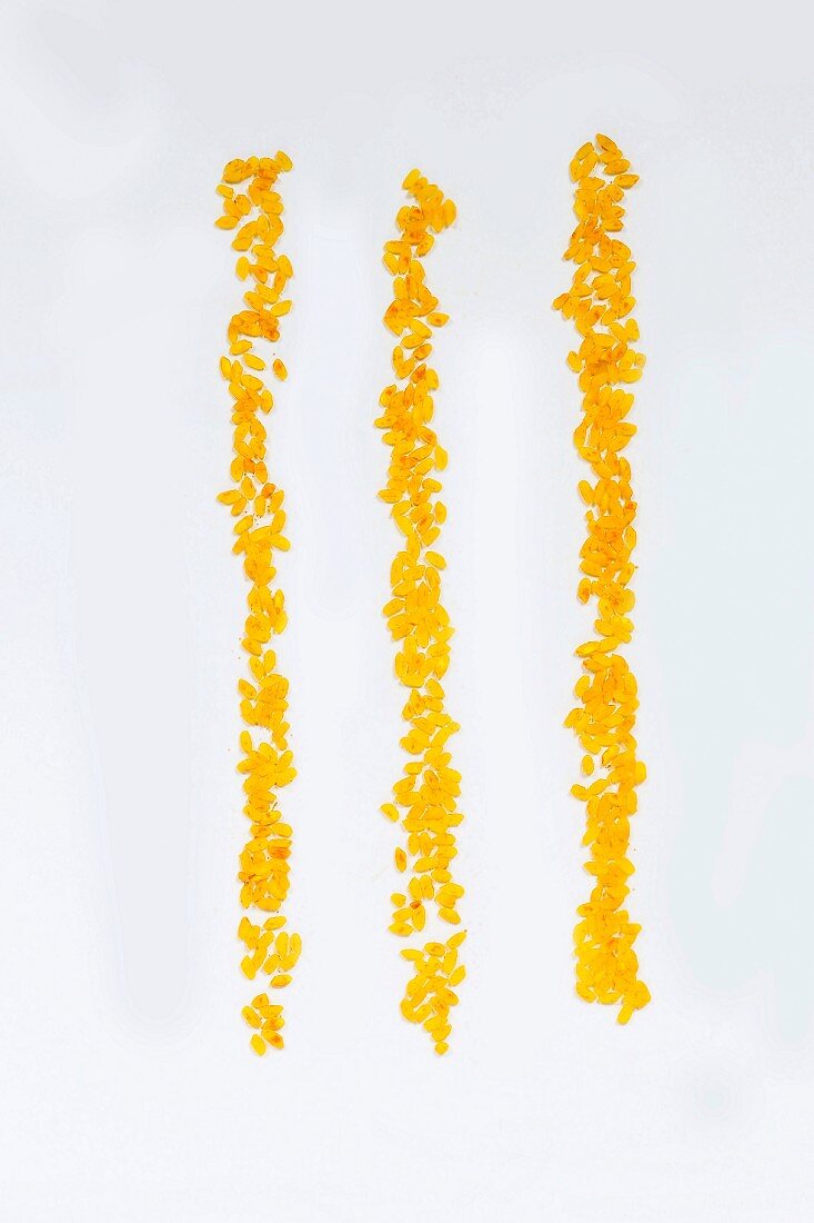 Gelber Reis der Sorte Rising Sun Orange (Rundkornreis aus Japan)
