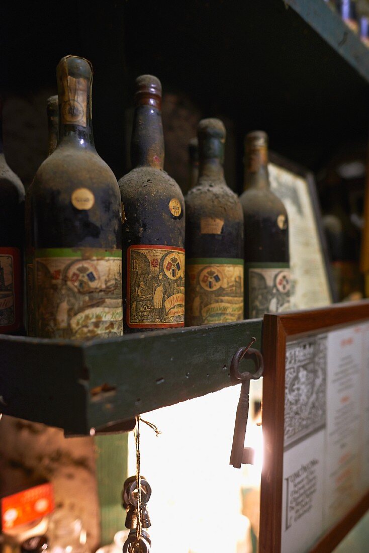Alte Weinflaschen des Baga-Weins