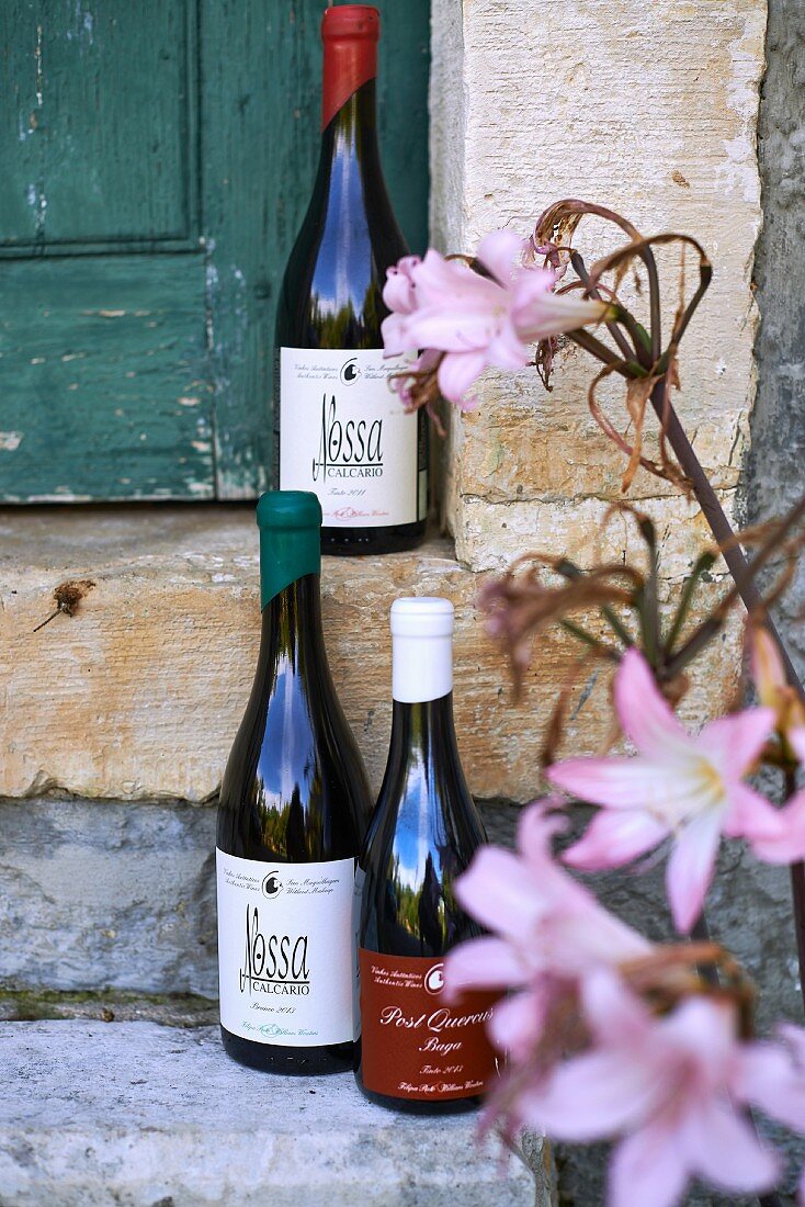 Weinflaschen des Baga-Wein, Portugal