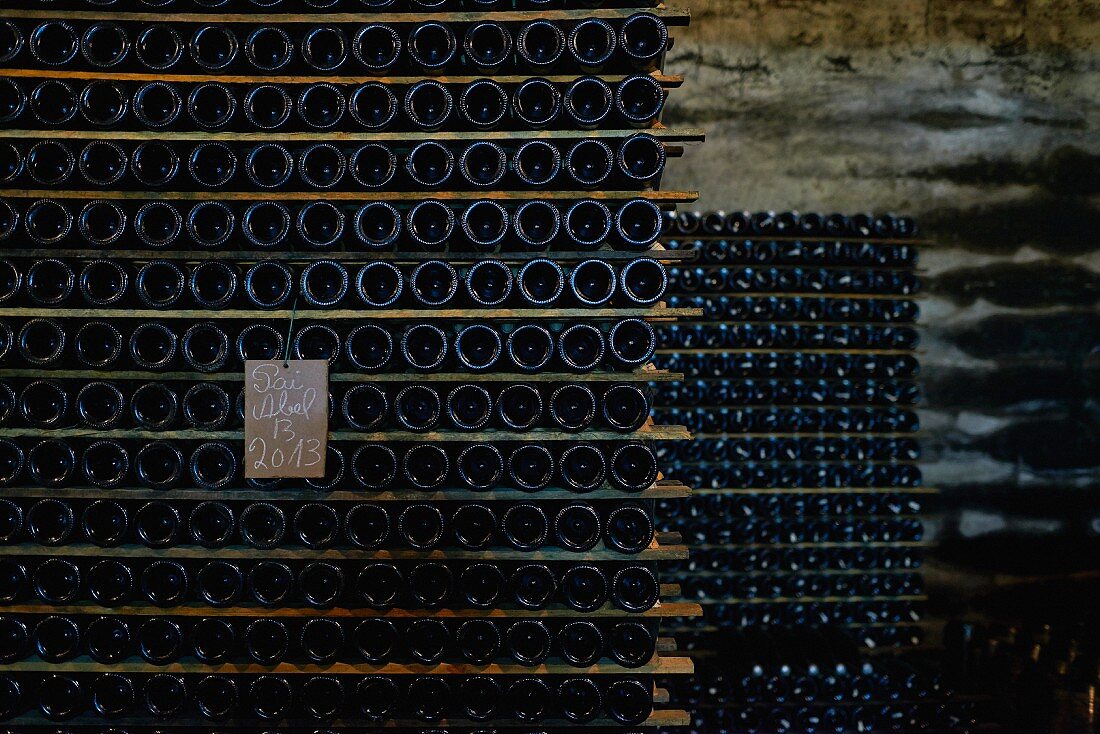 Baga wine in storage, Portugal