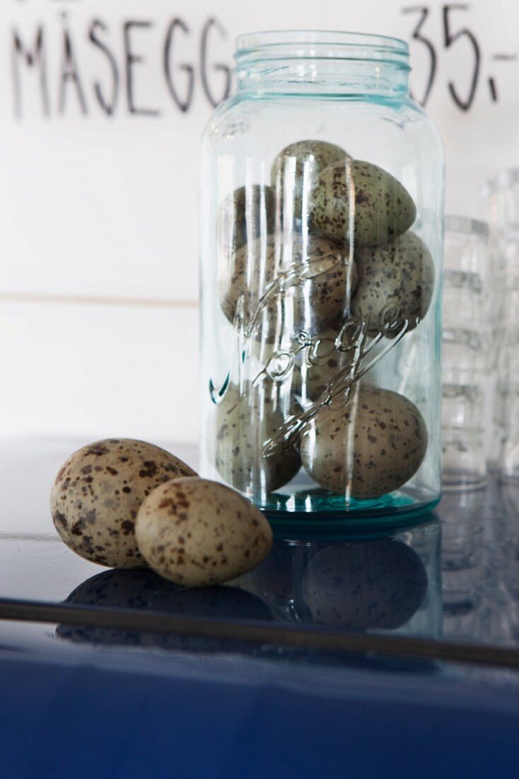 Gulls' eggs in storage jar