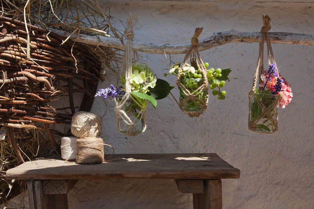 Various flowering plants in preserving jars in macrame plant hangers suspended from rustic branch