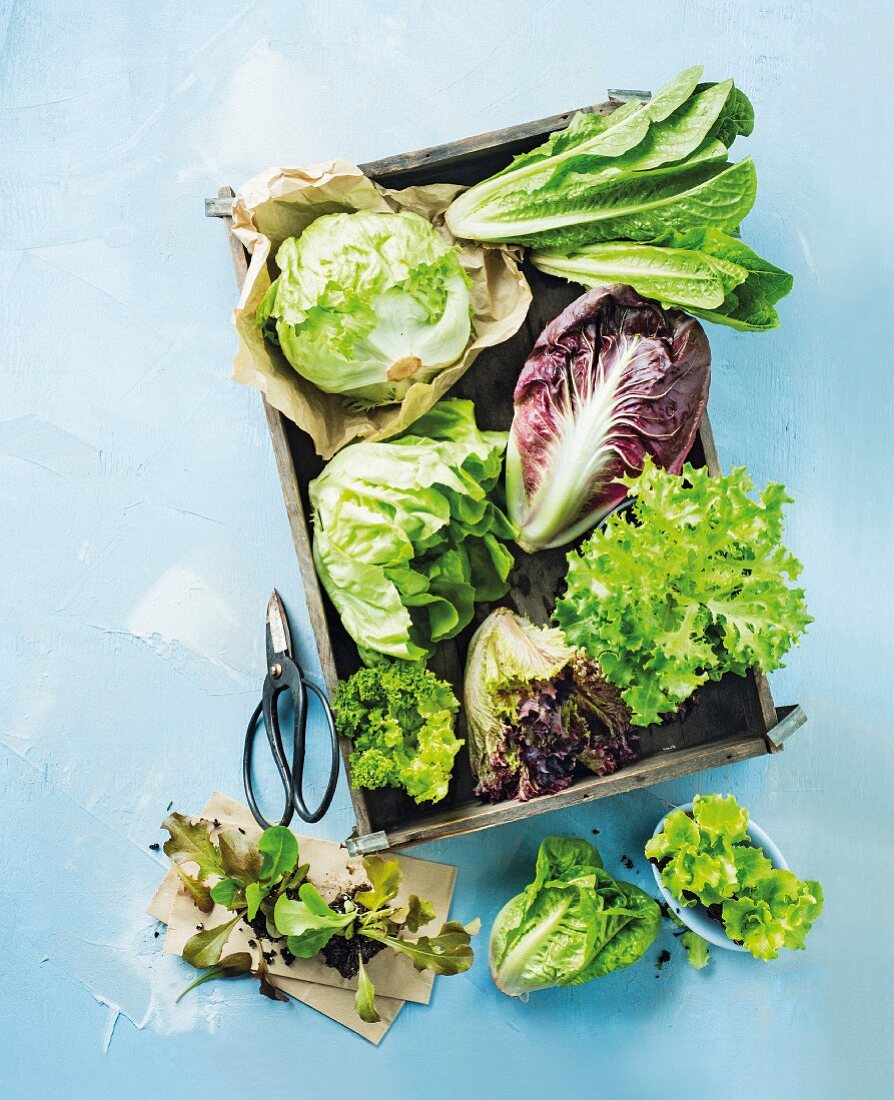 Various types of lettuce in and next to a wooden crate (seen from above)