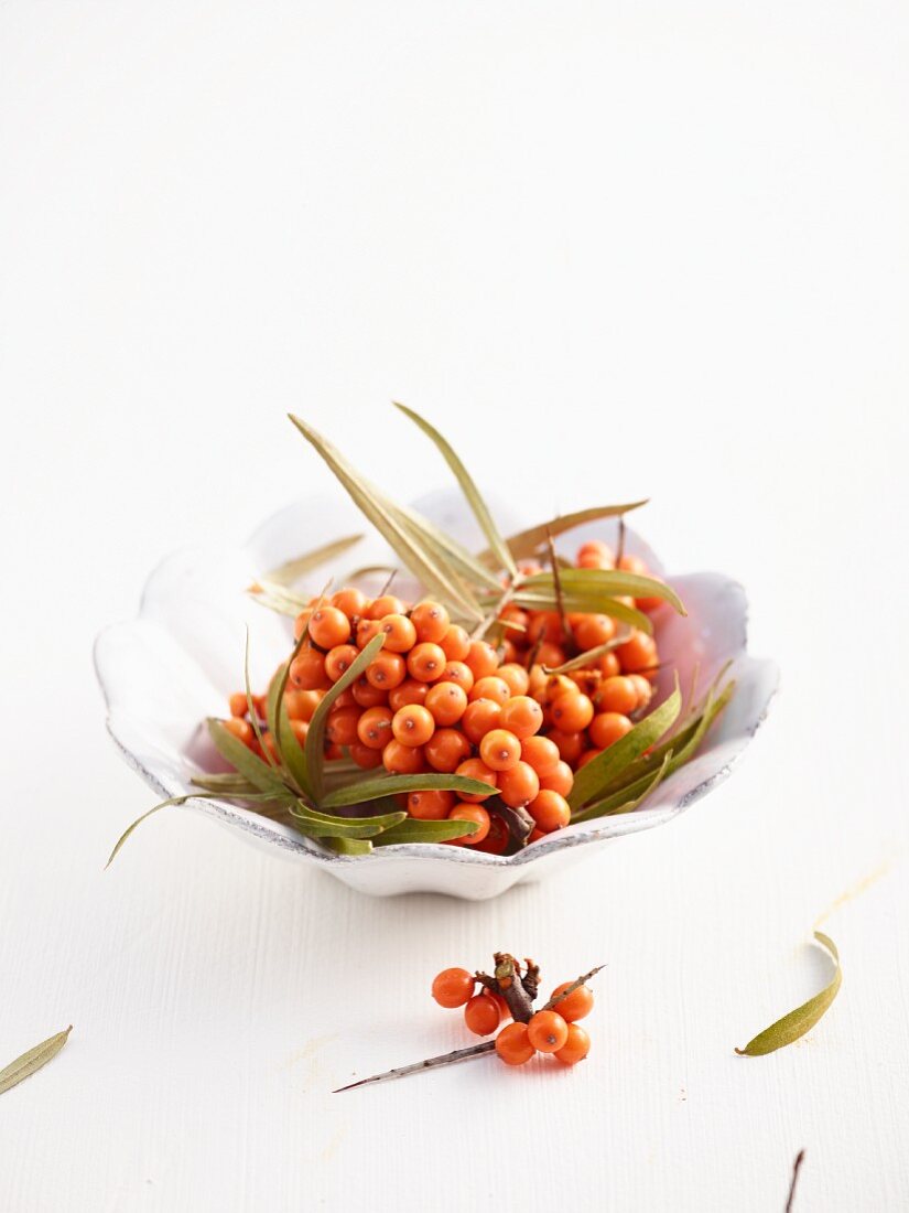 Sea buckthorn berries in a white bowl