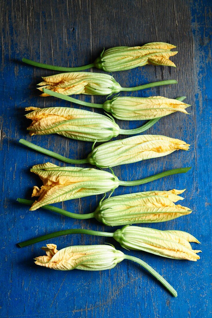 Zucchiniblüten auf blauem Holztisch