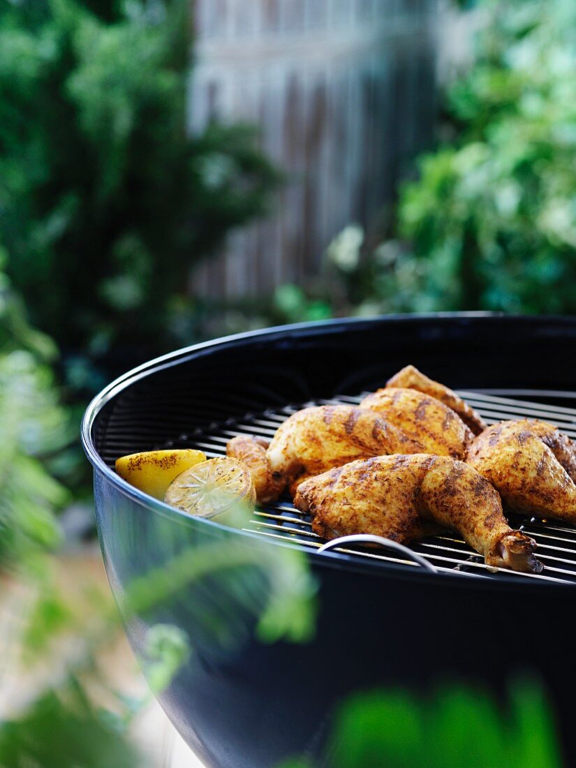 Grilled chicken bits and lemons on a barbecue in a garden
