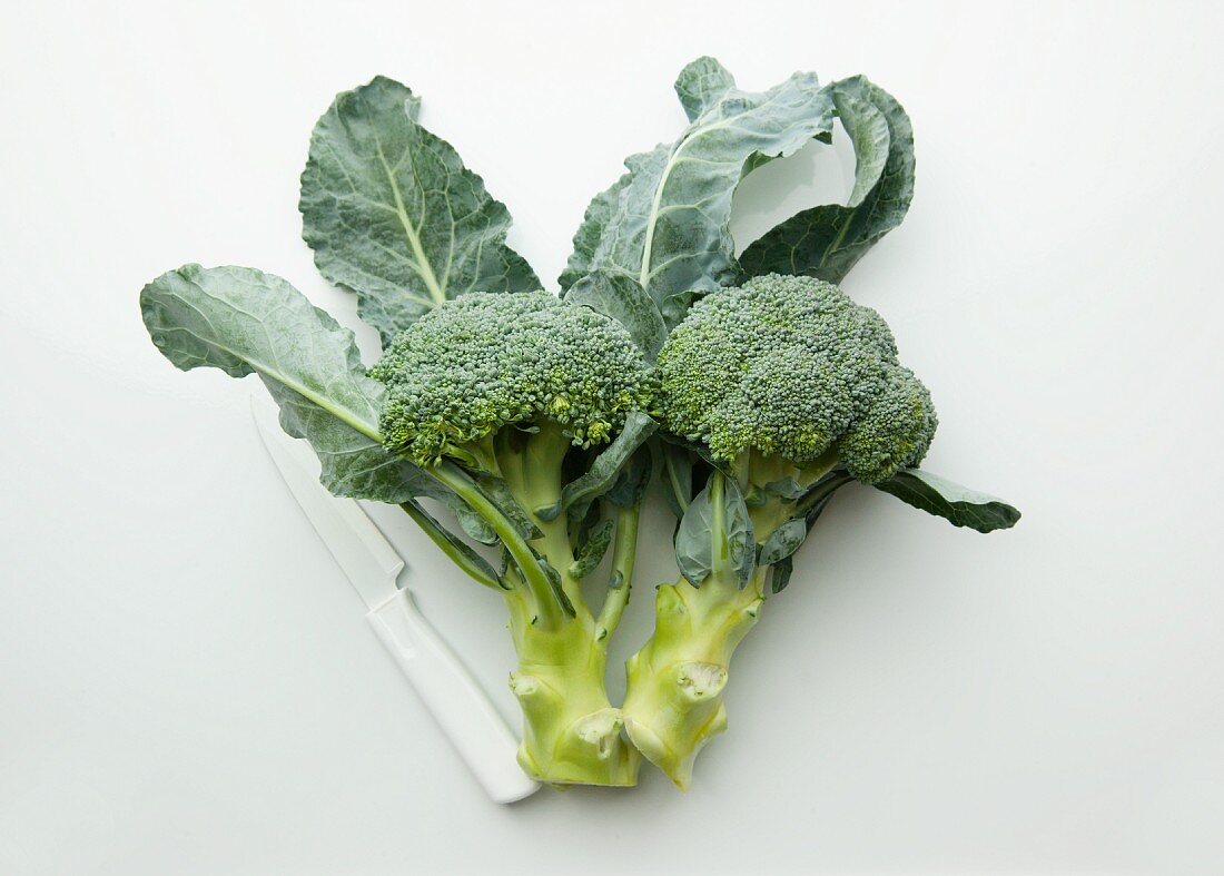 Broccoli with a knife on a white surface