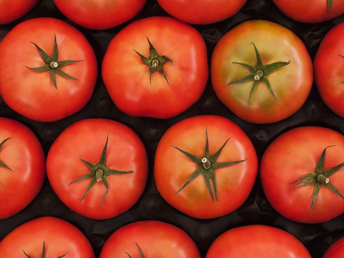 Rows of tomatoes in a plastic box
