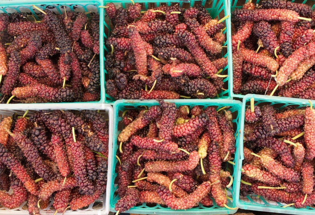 Mulberries in plastic baskets seen from above