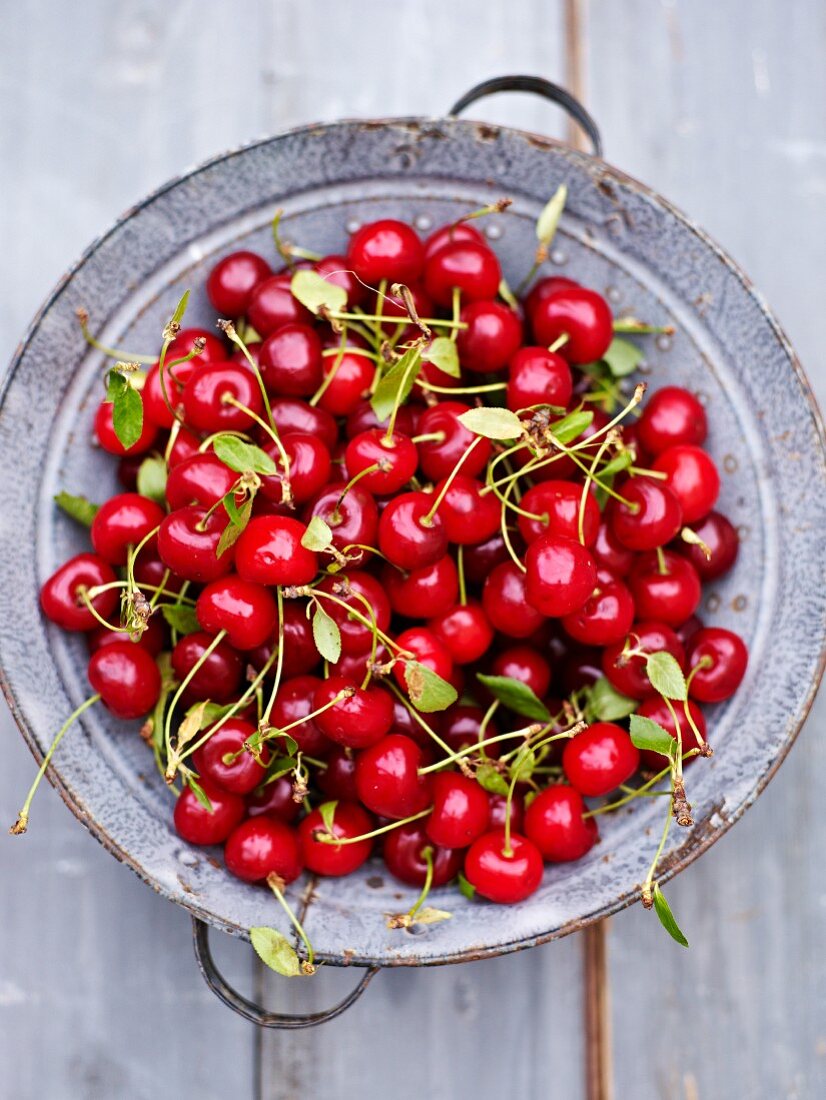 Sour cherries in a colander