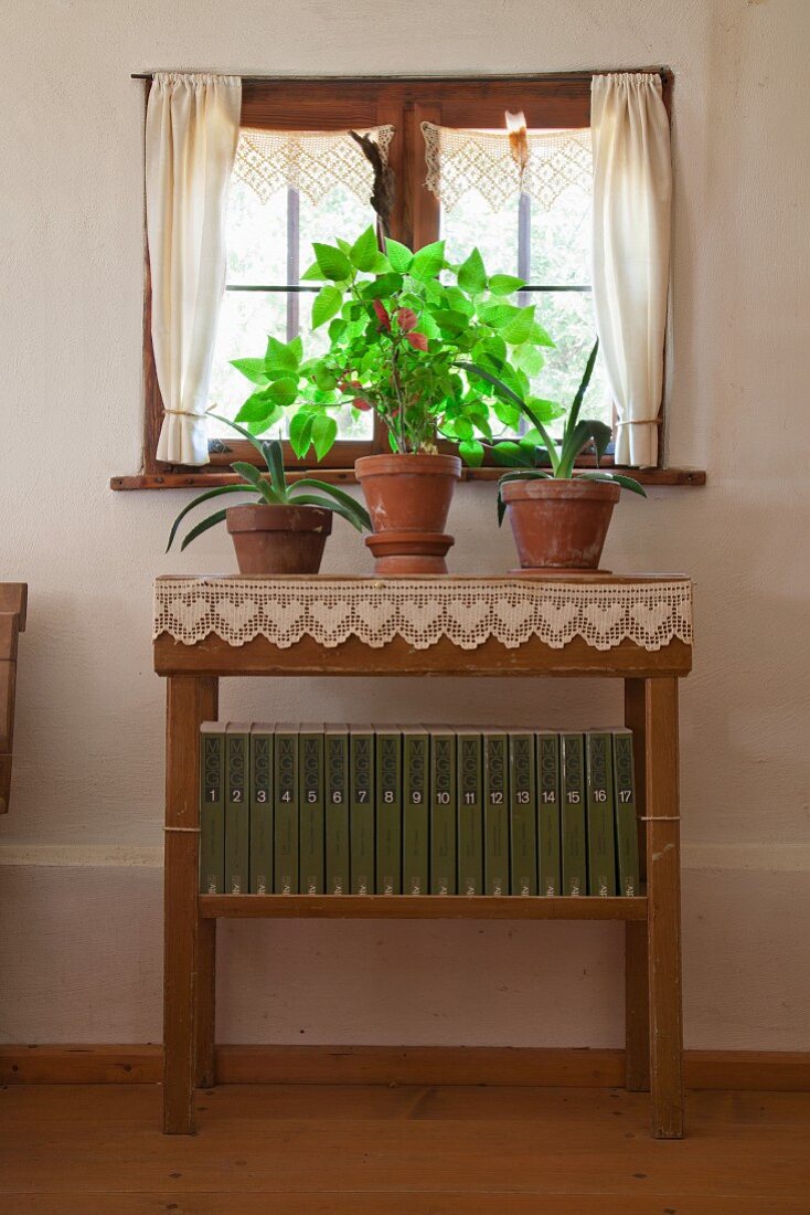 Potted plants on simple console table with lace trim below farmhouse window
