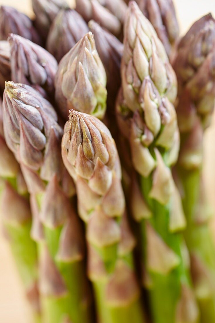 Grüne Spargelköpfe (Close-Up)