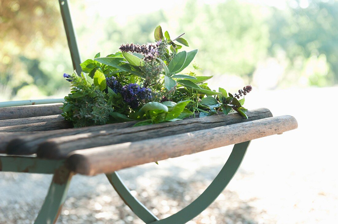 Frischer Kräuterstrauss mit Lavendelblüten auf Gartenstuhl