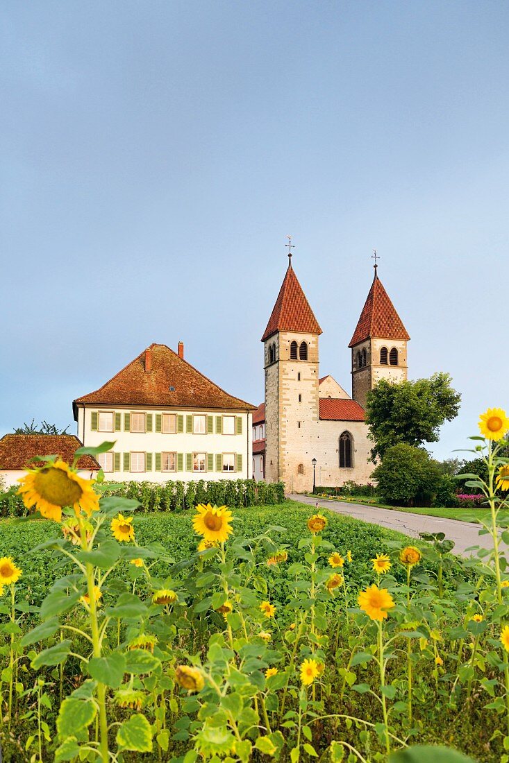 Kirche St. Peter und Paul in Niederzell zwischen Blumen- und Gemüsegärten, Reichenau