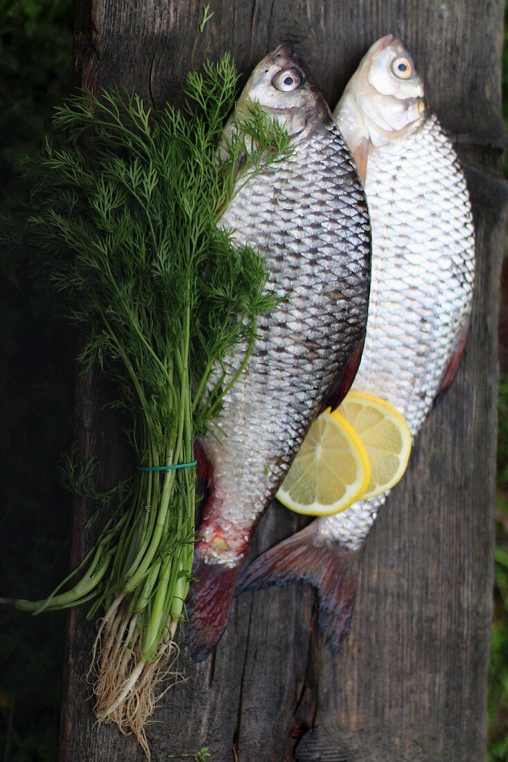 Two fresh carp with dill and lemons