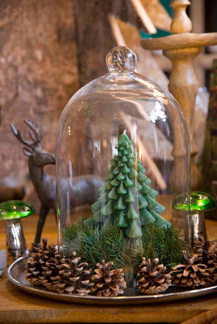 Pine-tree candle under glass cover surrounded by pine cones