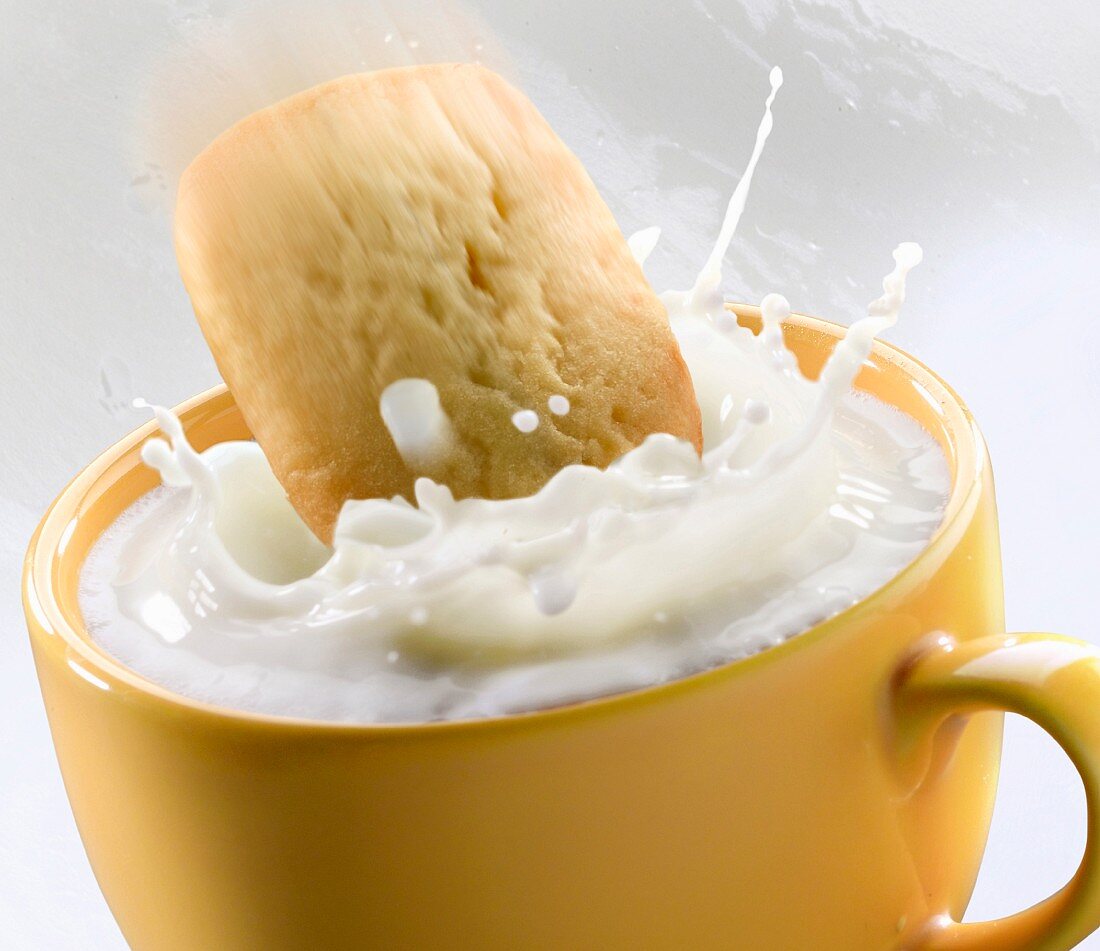 A shortbread biscuit falling into a cup of milk
