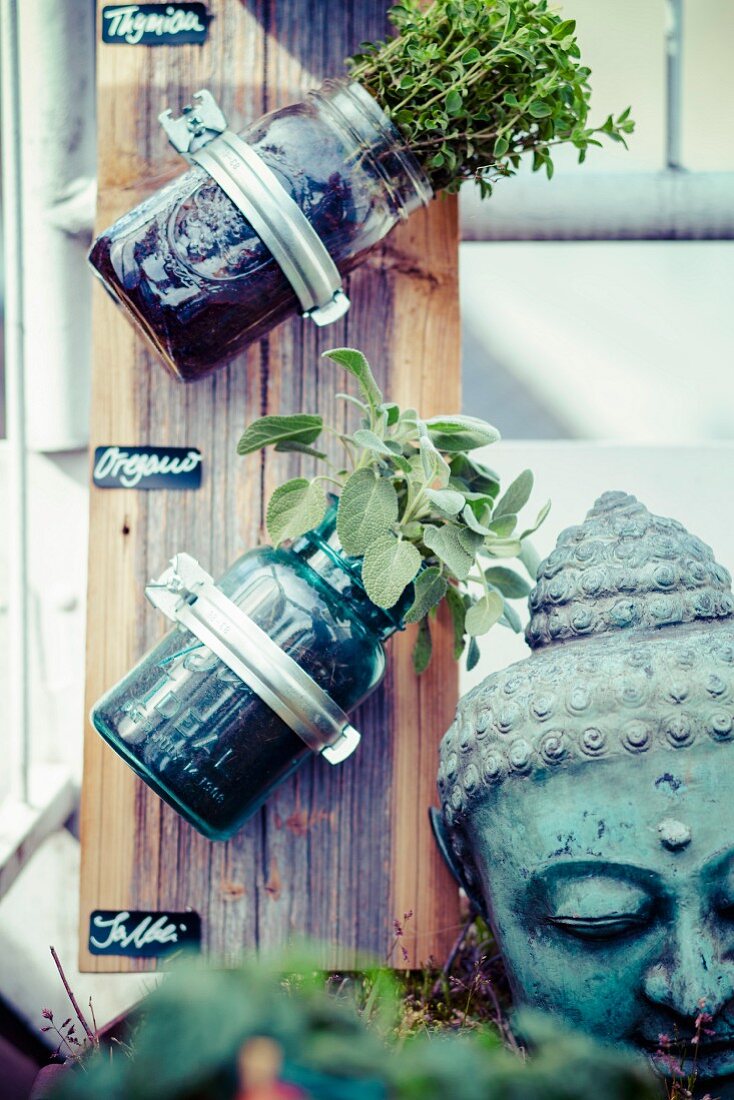 Herbs planted in mason jars attached to wooden board next to head of Buddha