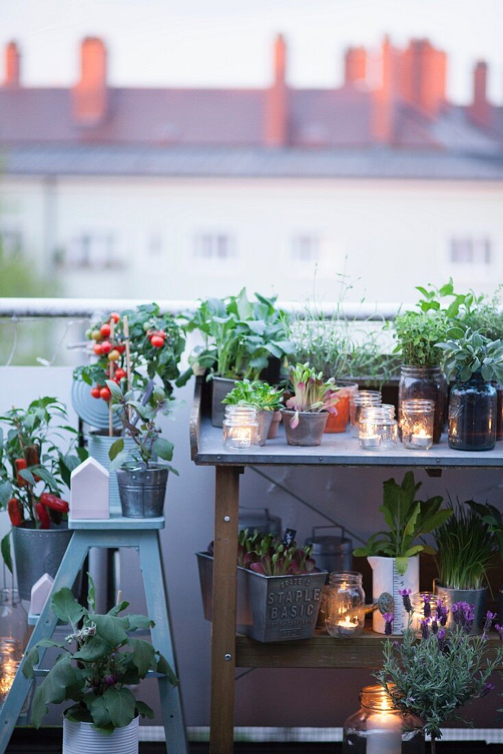 Potting bench and stepladder on roof terrace decorated with plants and candle lanterns