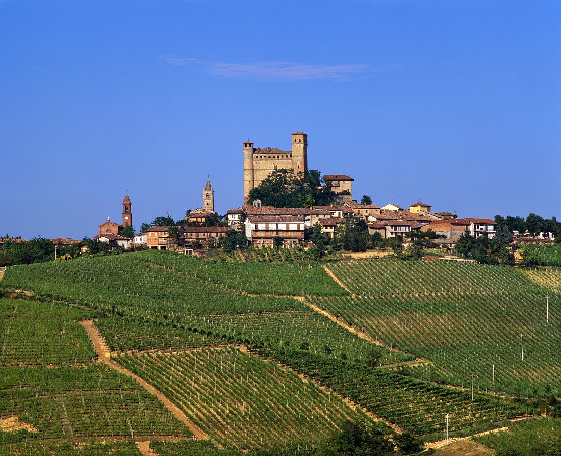 Der Ort Serralunga d'Alba oberhalb der Vigna Ronda im Piemont
