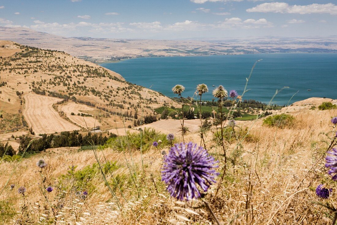 The Sea of Galilee: popular with hikers, pilgrims and water sports fans