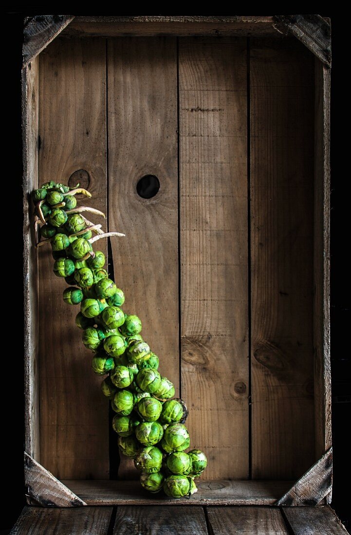 Brussels sprouts in a wooden crate