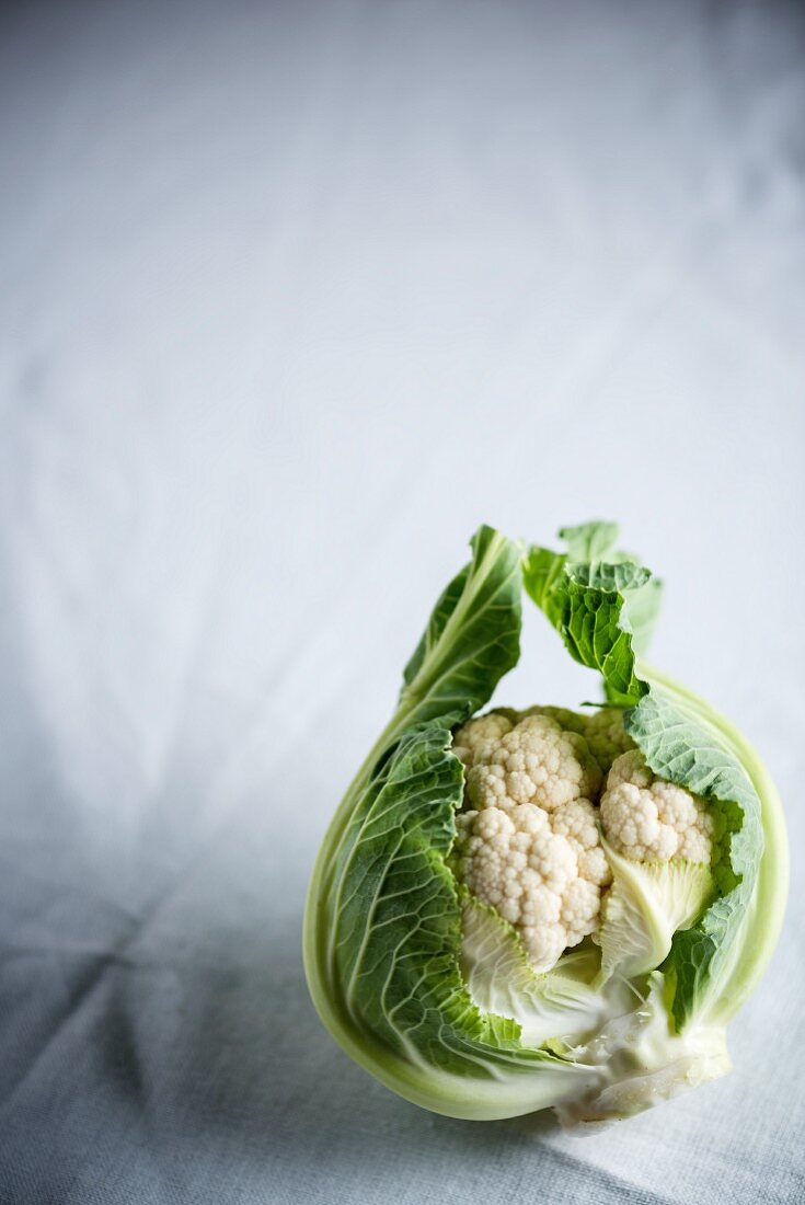 A cauliflower on a white tablecloth