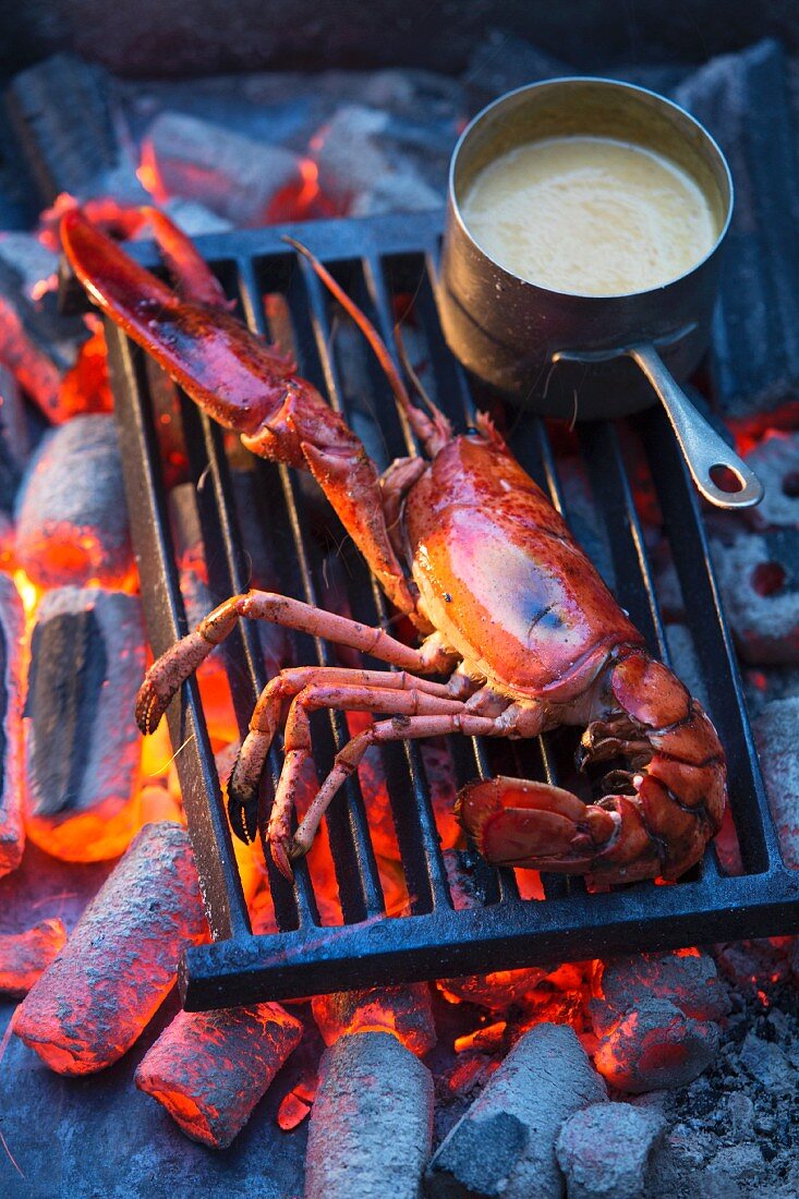 Grilled lobster with sauce