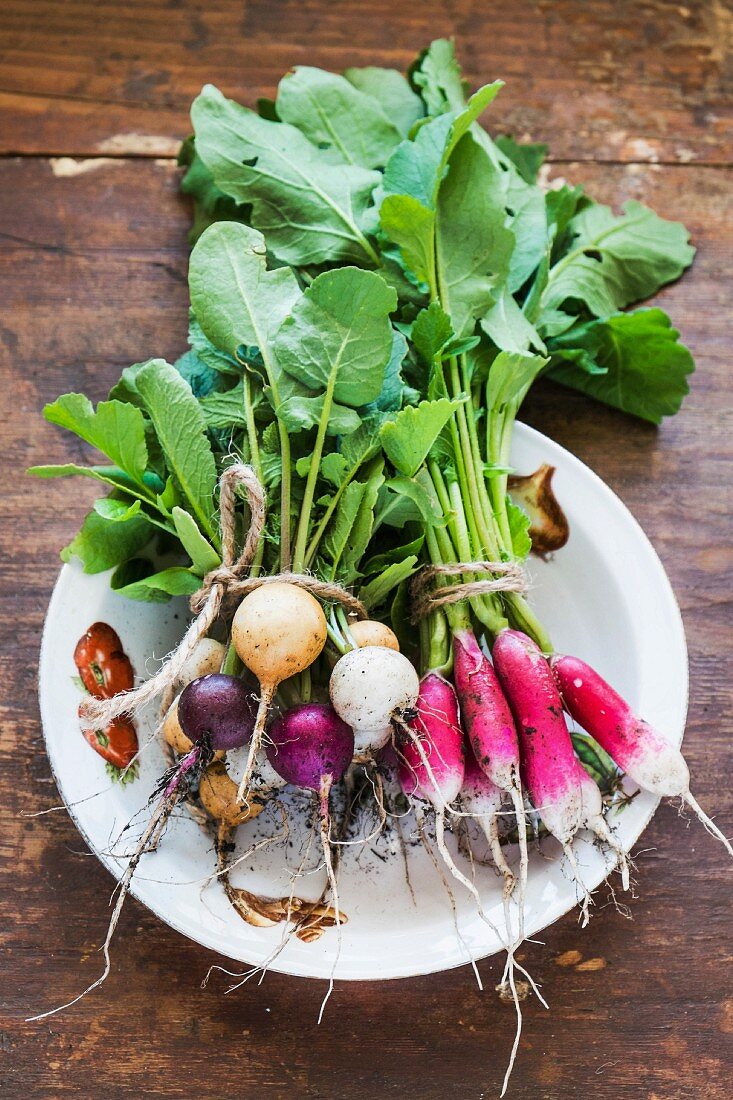 A bundle of colourful radishes on a plate