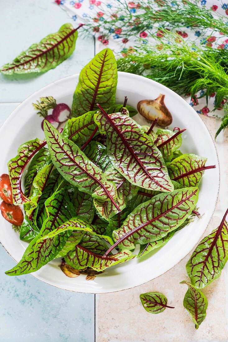 Rote Salatblätter in einer Schüssel