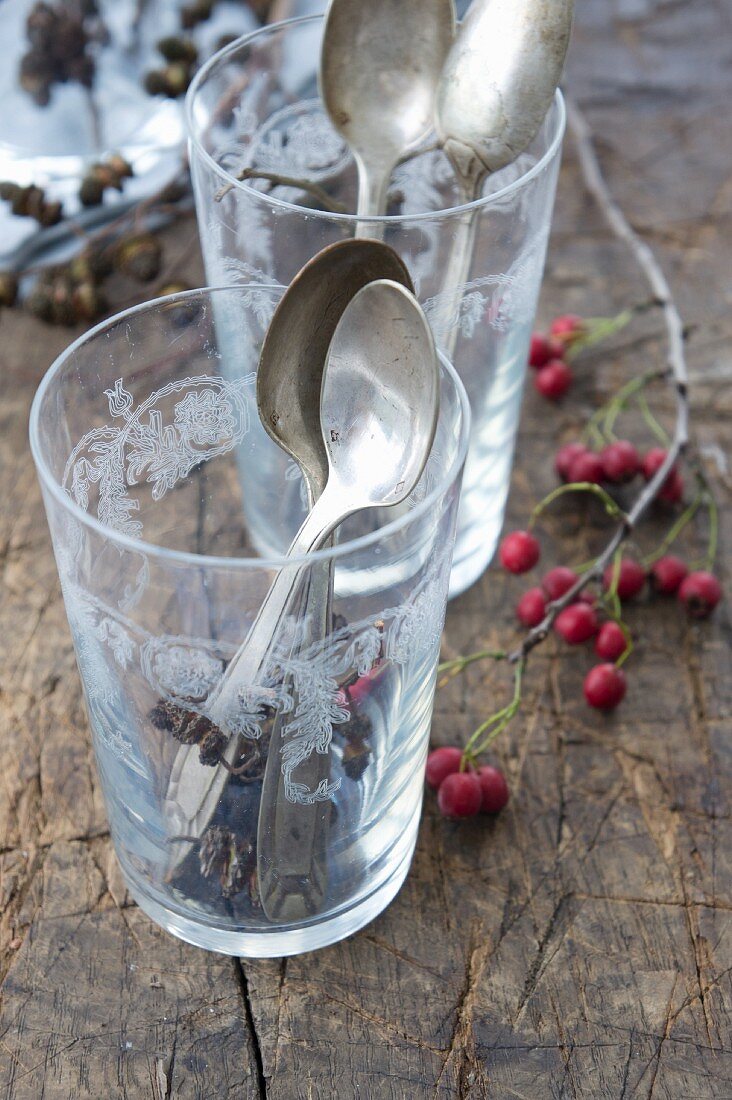 Glas mit Erlenfruchtständen und Silberlöffeln