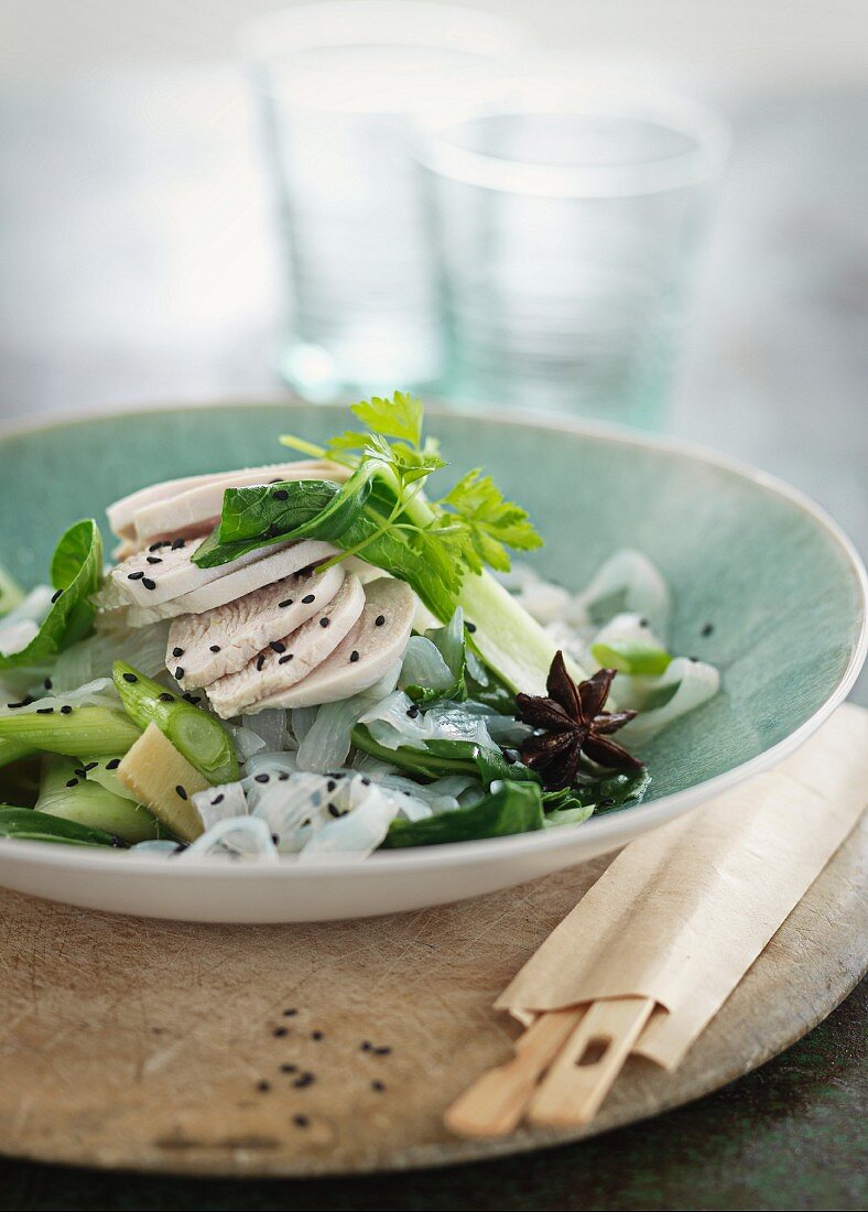 Rice noodles with chicken and spring onions (Asia)