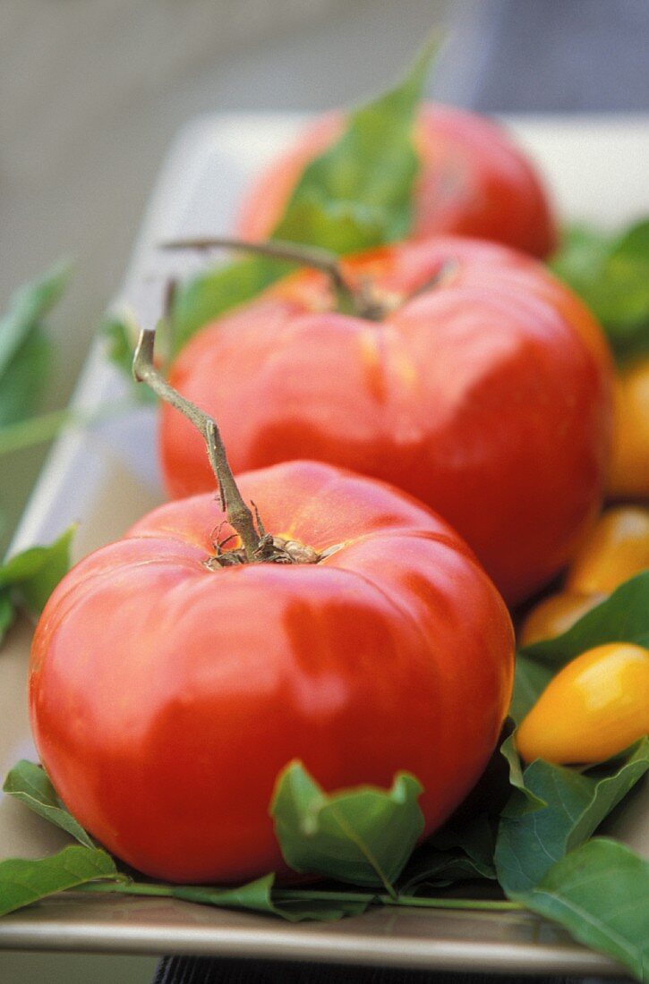 Fleischtomaten & gelbe Birnentomaten auf Servierplatte