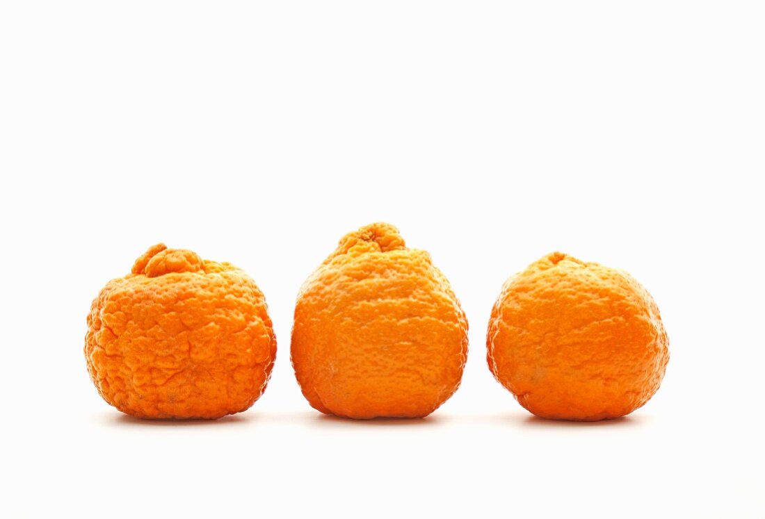 Three Golden Nugget tangerines on a white surface