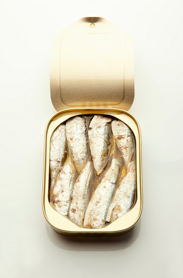 A opened tin of sardines