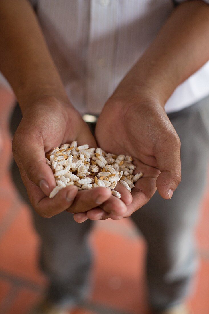 Hands holing puffed rice in Vietnam