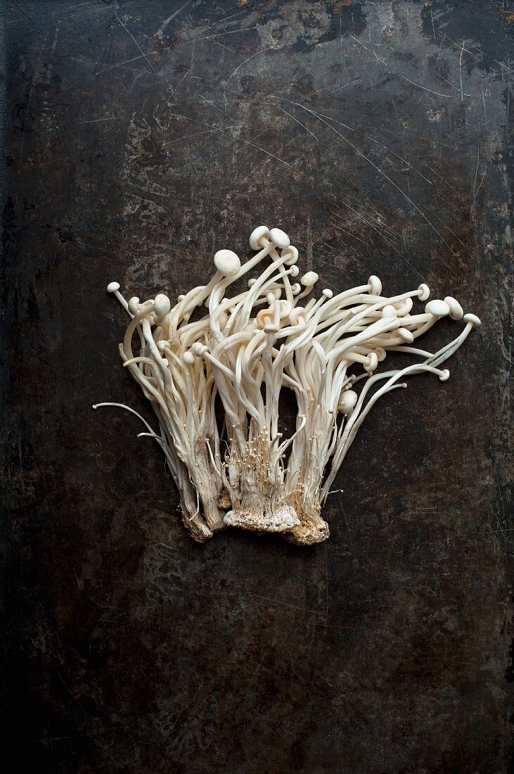 Frische Shimeji-Pilze auf einer dunklen Metalloberfläche (Draufsicht)