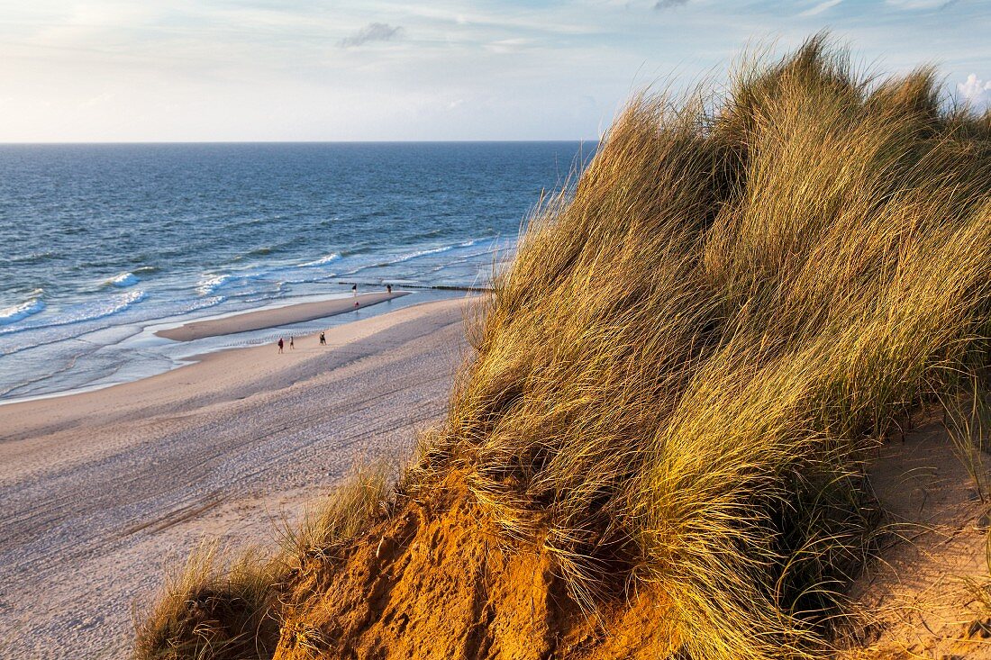 The steep coast on Sylt known as the 'Red Cliff'