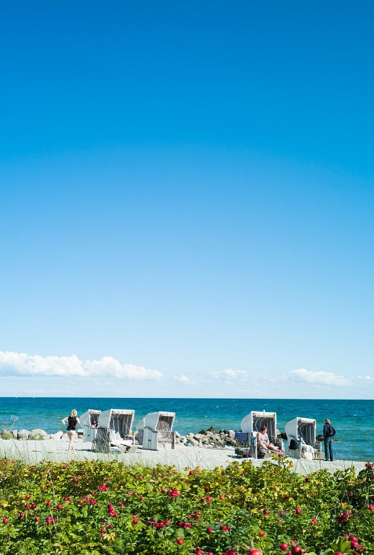 Beach chairs on the beach at Schönhagen, Baltic Sea