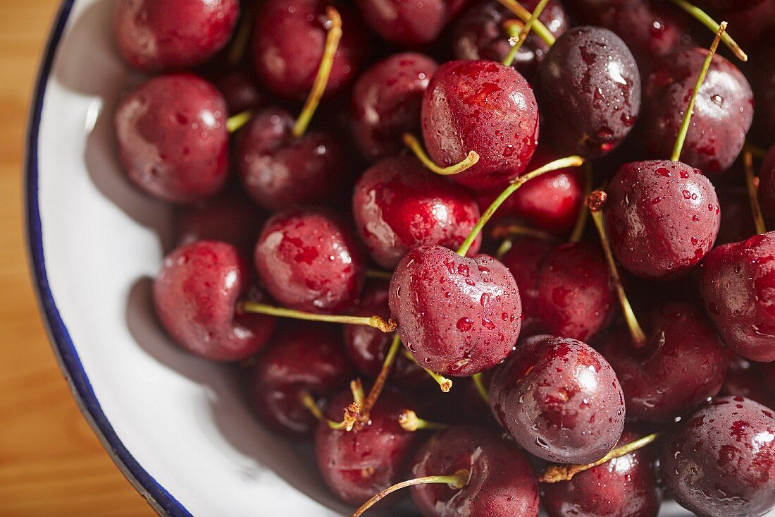 Rote Kirschen mit Wassertropfen auf Teller