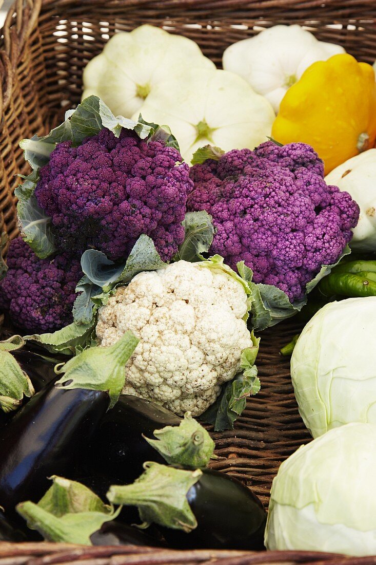 Cauliflowers, patty pan squash, aubergines and white cabbages in a basket