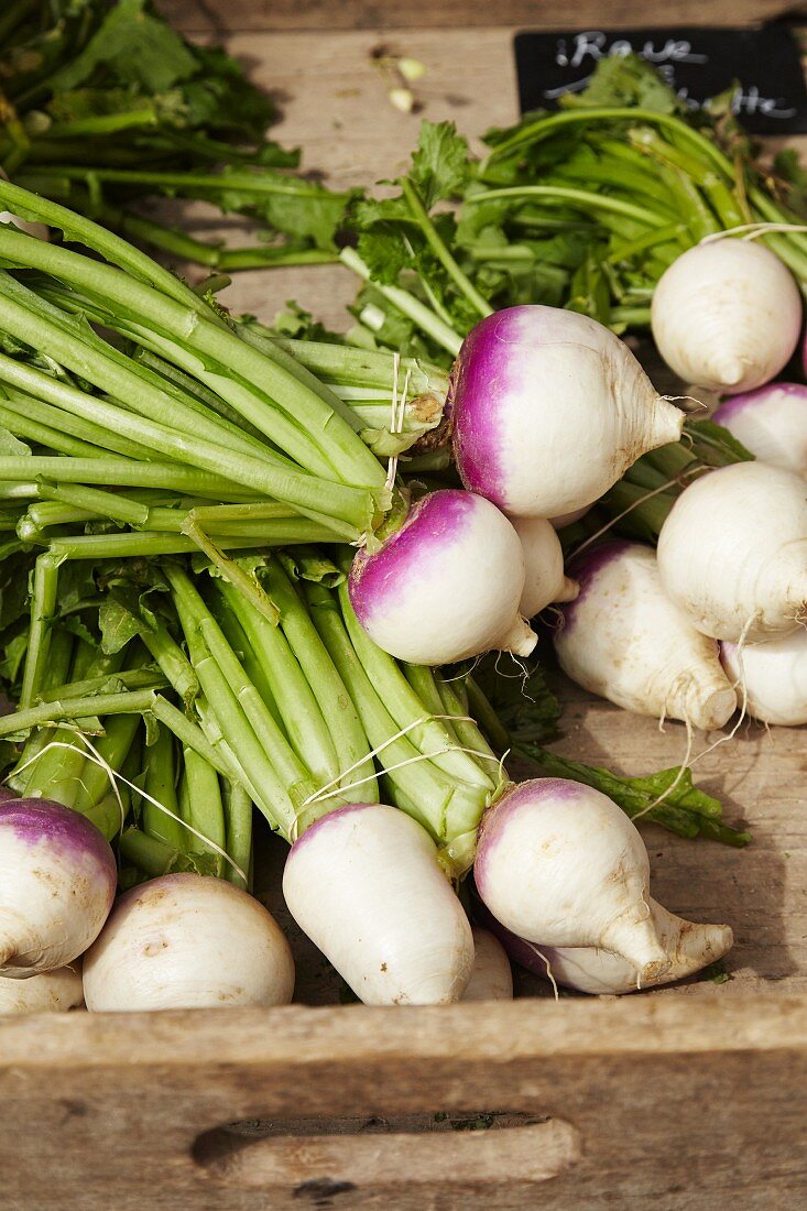 Fresh May turnips