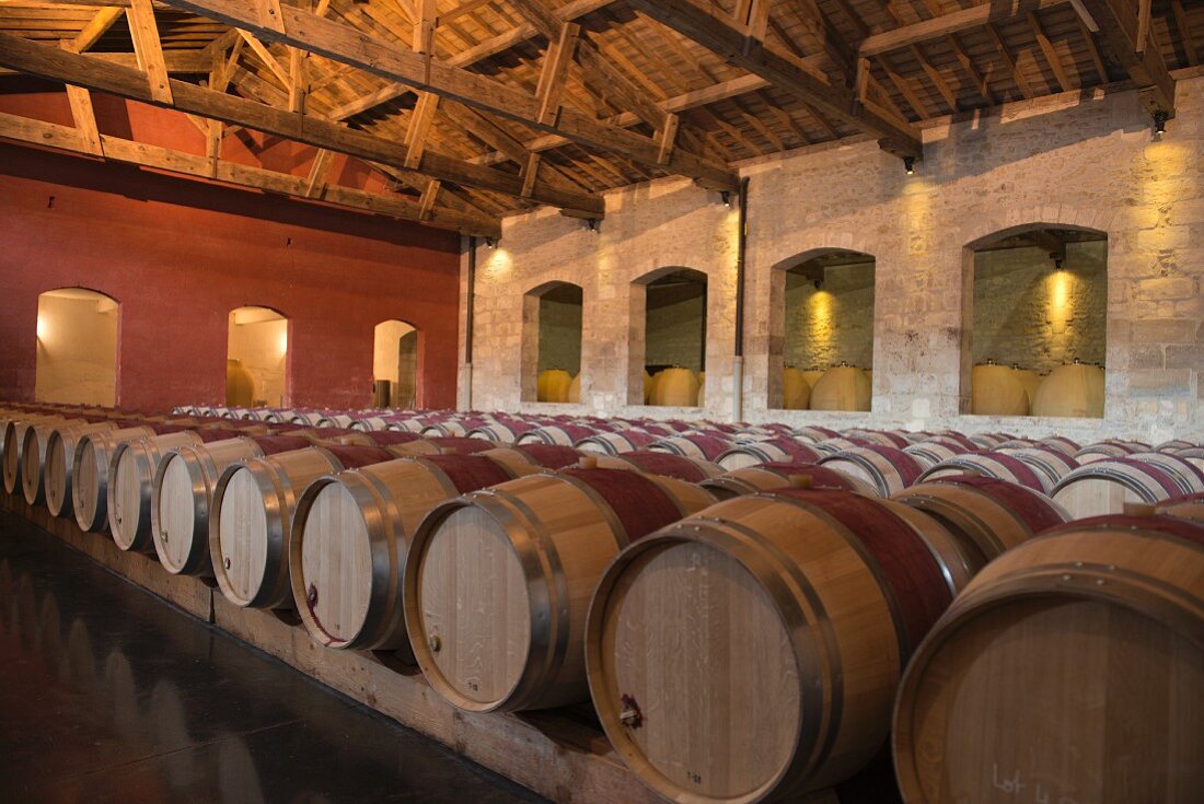 Holzfässer und Amphoren im Keller von Château Pontet-Canet (Bordeaux, Frankreich)