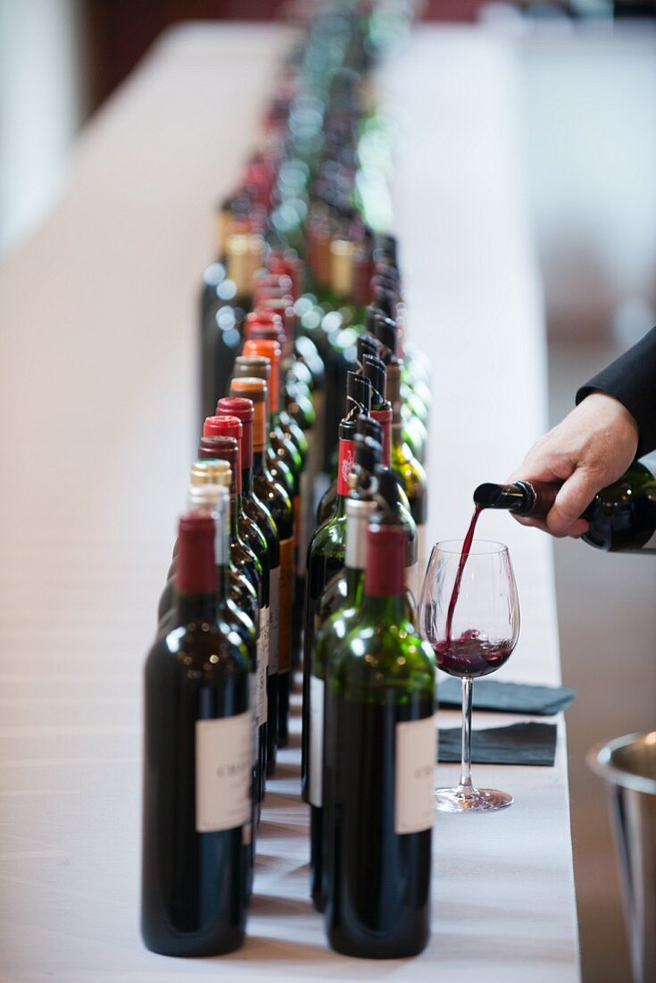 A wine journalist tasting 2014 Cru Bourgeois (Bordeaux, France)