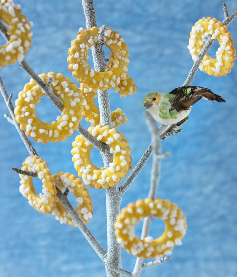 Sugar ring biscuits hanging on a twig