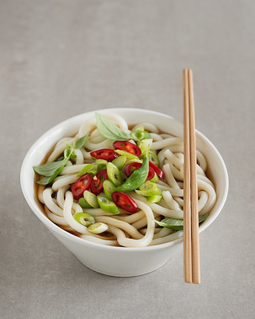 Udon noodle soup with spring onions and chilli rings (Japan)