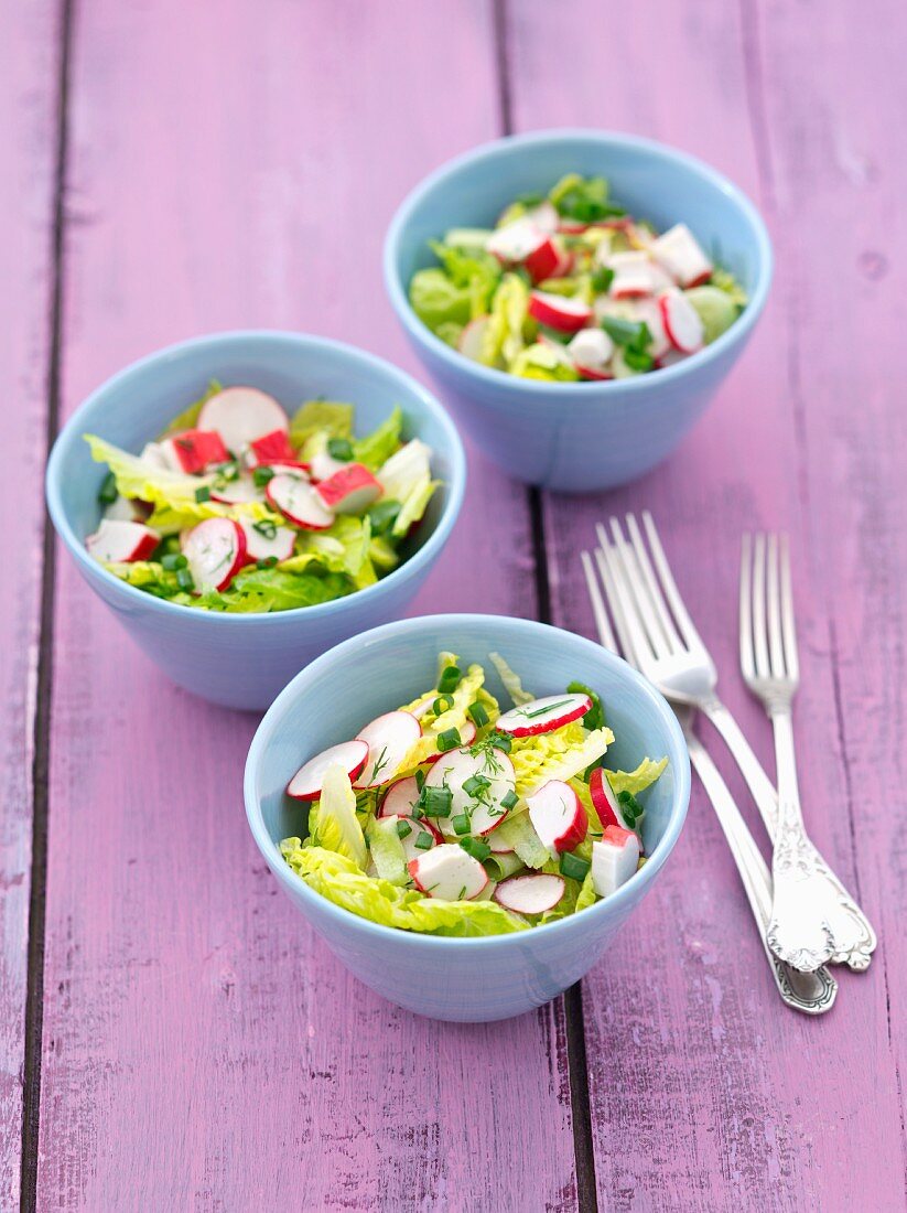 Römersalat mit Surimi, Radieschen, Dill, Zwiebeln, Gurken und Vinaigrette