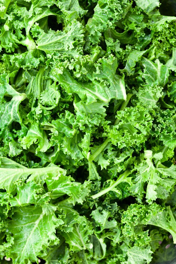 Kale (seen from above)
